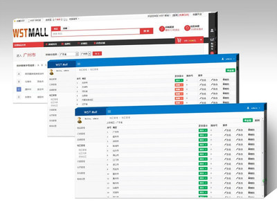 WSTMall B2B2C商城系统定制开发：打造全渠道电子商务解决方案