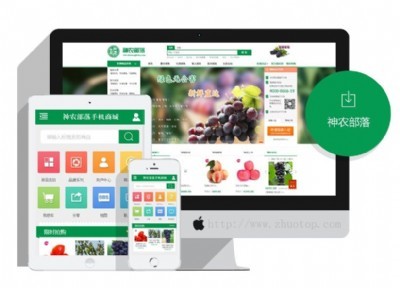 网络科技时代下B2B2C商城系统的开发与实现