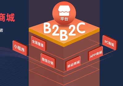 多用户商城系统开发 B2B2C模式的全面解析与实践